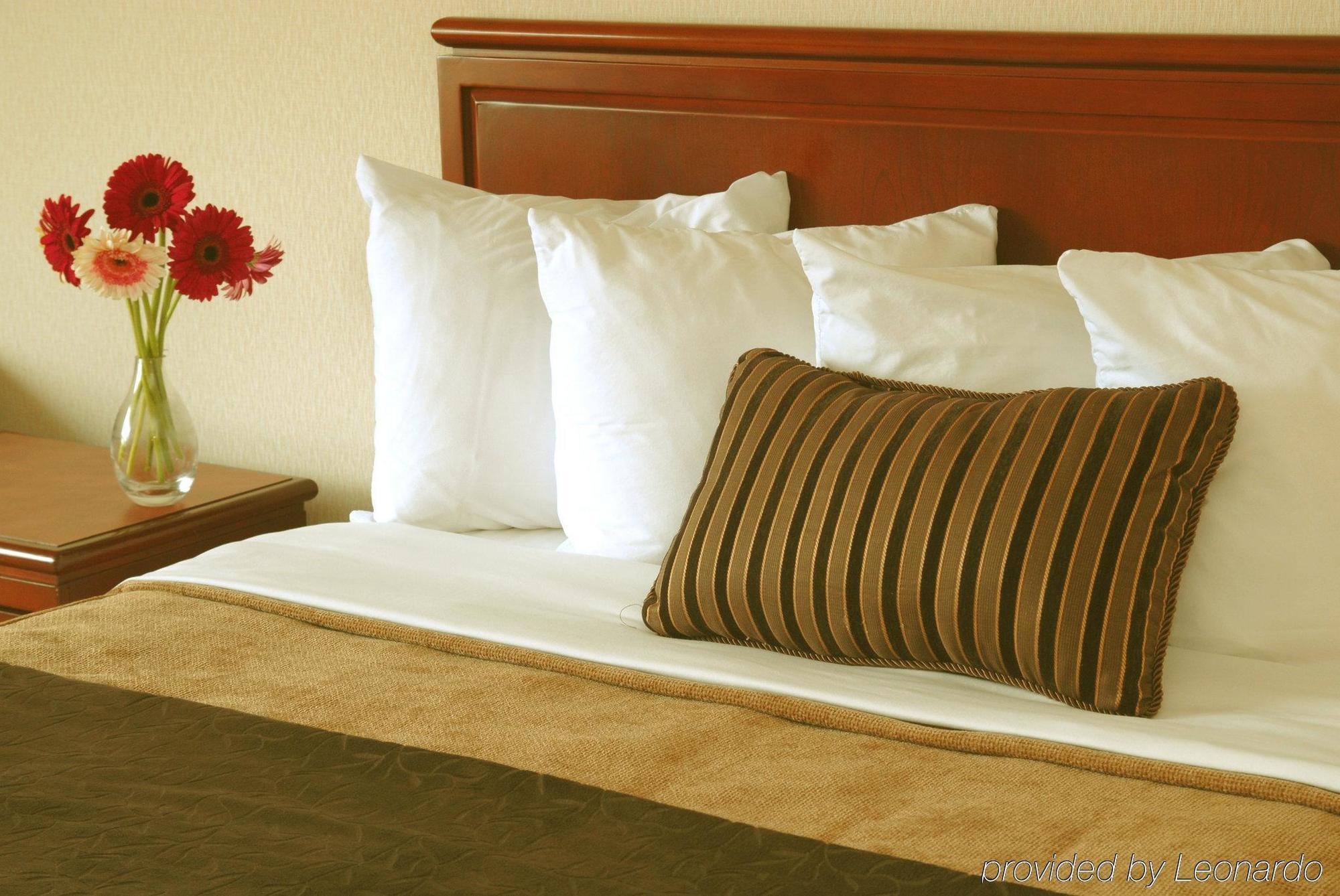 Doubletree By Hilton St. John'S Harbourview Hotel Cameră foto